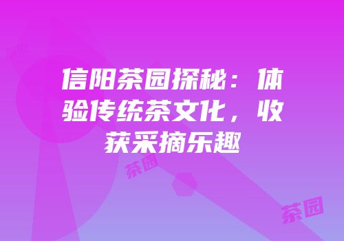 信阳茶园探秘：体验传统茶文化，收获采摘乐趣