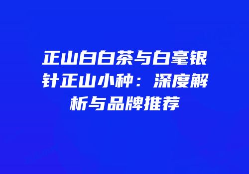 正山白白茶与白毫银针正山小种：深度解析与品牌推荐