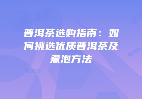 普洱茶选购指南：如何挑选优质普洱茶及煮泡方法