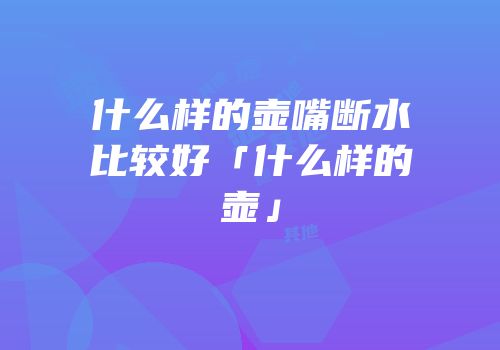 什么样的壶嘴断水比较好「什么样的壶」
