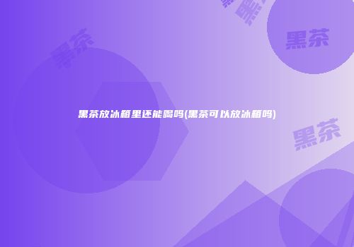 黑茶放冰箱里还能喝吗(黑茶可以放冰箱吗)