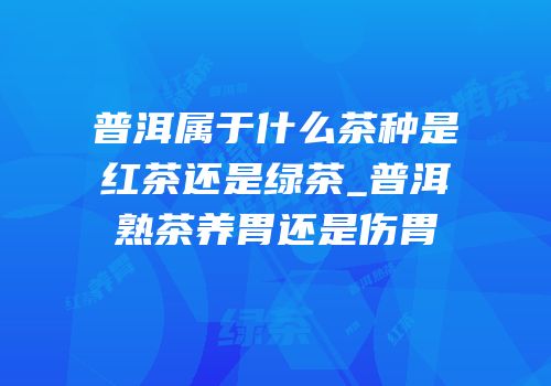 普洱属于什么茶种是红茶还是绿茶_普洱熟茶养胃还是伤胃
