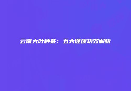 云南大叶种茶：五大健康功效解析