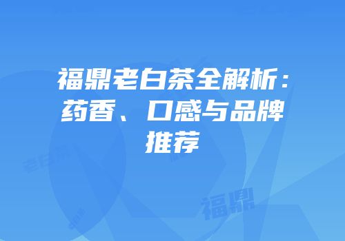 福鼎老白茶全解析：药香、口感与品牌推荐