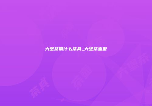 六堡茶用什么茶具_六堡茶壶型
