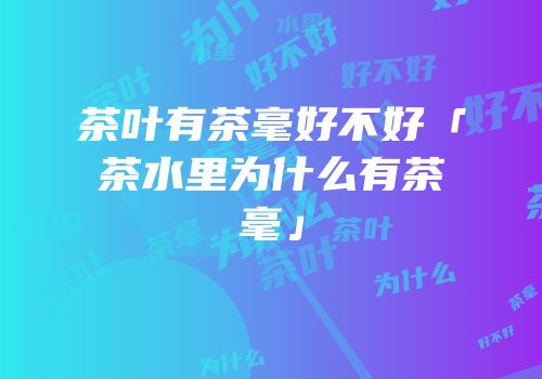 茶叶有茶毫好不好「茶水里为什么有茶毫」