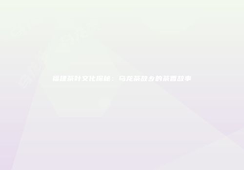 福建茶叶文化探秘：乌龙茶故乡的茶香故事
