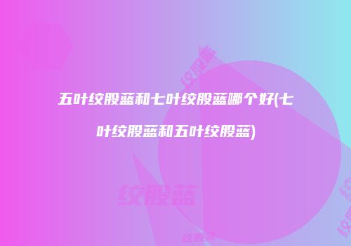 五叶绞股蓝和七叶绞股蓝哪个好(七叶绞股蓝和五叶绞股蓝)
