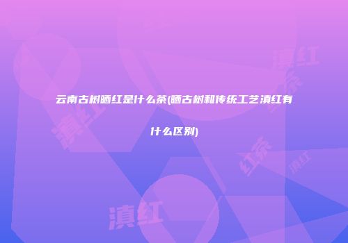 云南古树晒红是什么茶(晒古树和传统工艺滇红有什么区别)