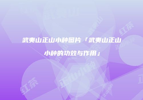 武夷山正山小种图片「武夷山正山小种的功效与作用」