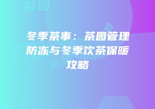 冬季茶事：茶园管理防冻与冬季饮茶保暖攻略