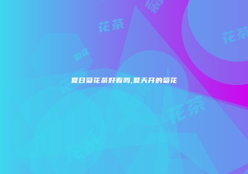 夏日菊花茶好看吗,夏天开的菊花