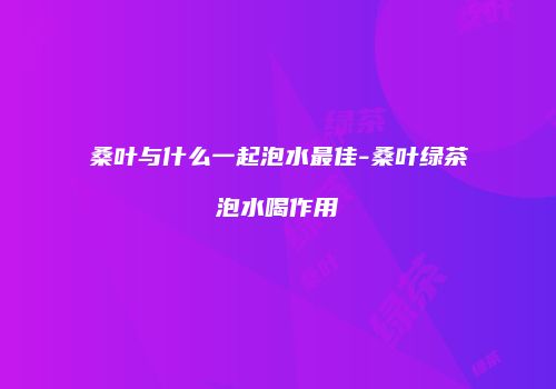 桑叶与什么一起泡水最佳-桑叶绿茶泡水喝作用