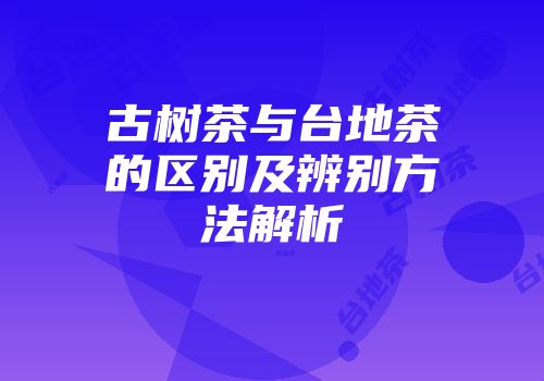 古树茶与台地茶的区别及辨别方法解析