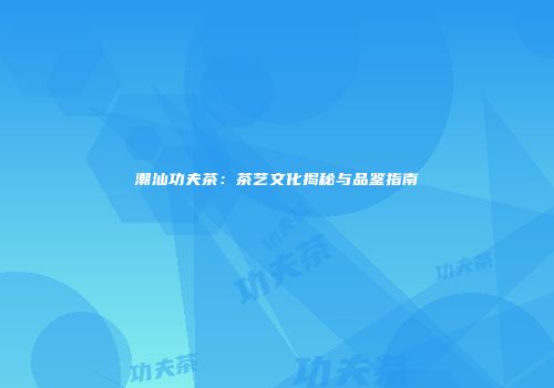 潮汕功夫茶：茶艺文化揭秘与品鉴指南