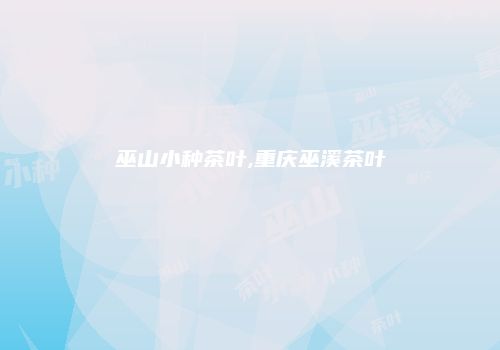巫山小种茶叶,重庆巫溪茶叶