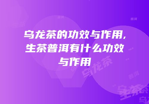 乌龙茶的功效与作用,生茶普洱有什么功效与作用