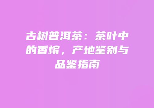 古树普洱茶：茶叶中的香槟，产地鉴别与品鉴指南