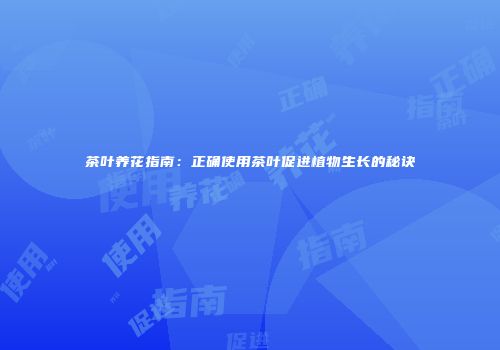 茶叶养花指南：正确使用茶叶促进植物生长的秘诀