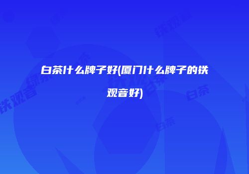 白茶什么牌子好(厦门什么牌子的铁观音好)