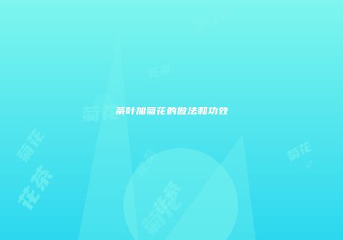 茶叶加菊花的做法和功效