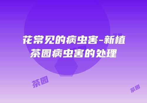 花常见的病虫害-新植茶园病虫害的处理