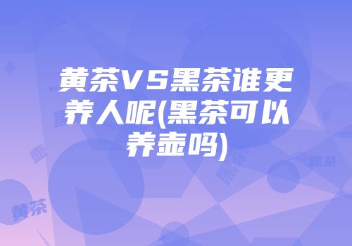 黄茶VS黑茶谁更养人呢(黑茶可以养壶吗)