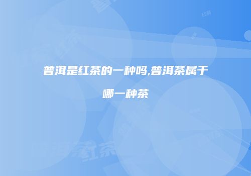 普洱是红茶的一种吗,普洱茶属于哪一种茶