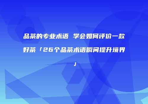 品茶的专业术语 学会如何评价一款好茶「26个品茶术语瞬间提升境界」