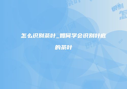 怎么识别茶叶_如何学会识别叶底的茶叶