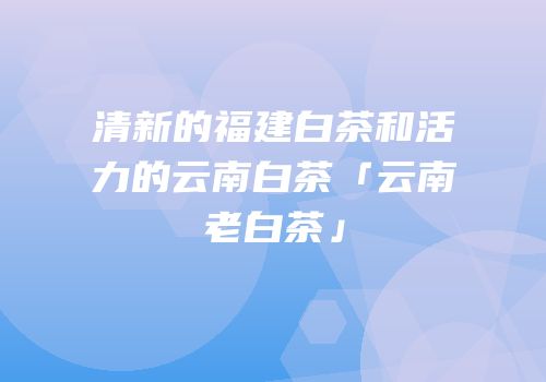 清新的福建白茶和活力的云南白茶「云南老白茶」