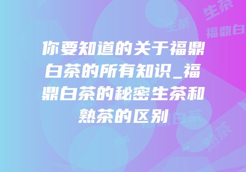 你要知道的关于福鼎白茶的所有知识_福鼎白茶的秘密生茶和熟茶的区别