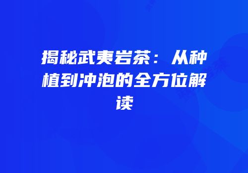 揭秘武夷岩茶：从种植到冲泡的全方位解读