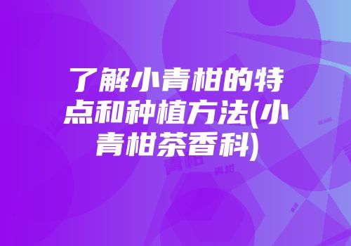 了解小青柑的特点和种植方法(小青柑茶香科)