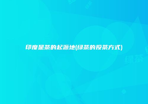 印度是茶的起源地(绿茶的投茶方式)