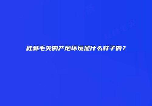 桂林毛尖的产地环境是什么样子的？