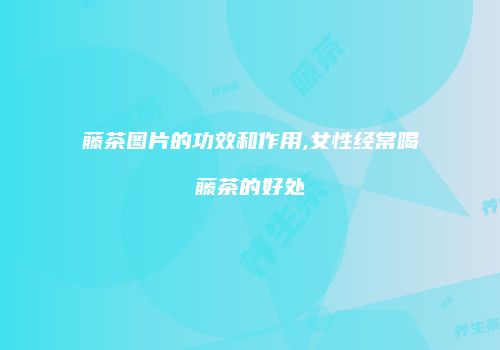 藤茶图片的功效和作用,女性经常喝藤茶的好处
