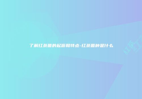 了解红茶菌的起源和特点-红茶菌种是什么