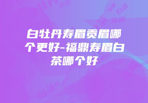 白牡丹寿眉贡眉哪个更好-福鼎寿眉白茶哪个好