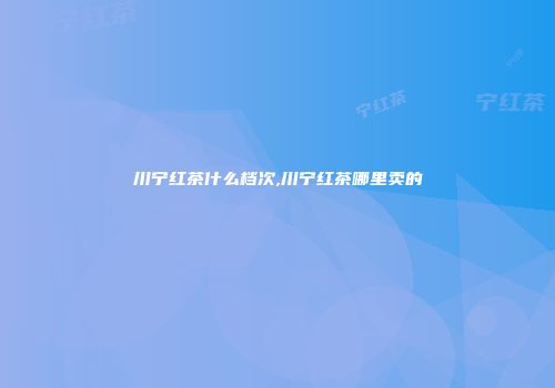 川宁红茶什么档次,川宁红茶哪里卖的