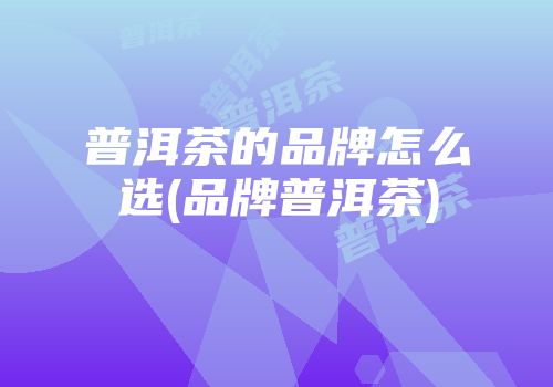 普洱茶的品牌怎么选(品牌普洱茶)