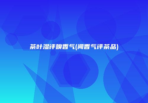 茶叶湿评嗅香气(闻香气评茶品)