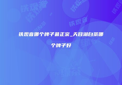 铁观音哪个牌子最正宗_天目湖白茶哪个牌子好