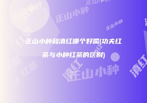 正山小种和滇红哪个好喝(功夫红茶与小种红茶的区别)