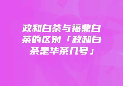 政和白茶与福鼎白茶的区别「政和白茶是华茶几号」