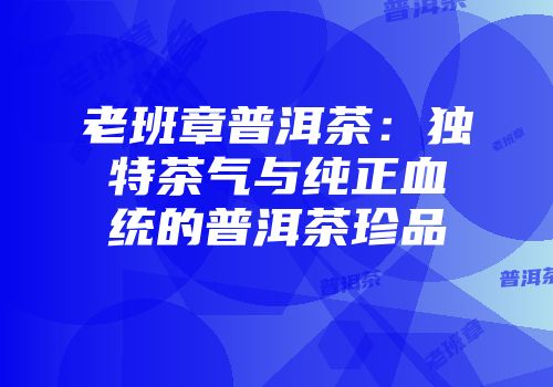 老班章普洱茶：独特茶气与纯正血统的普洱茶珍品