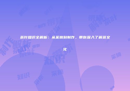 茶叶知识全解析：从采摘到制作，带你深入了解茶文化