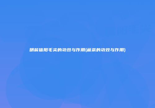 明前信阳毛尖的功效与作用(藏茶的功效与作用)