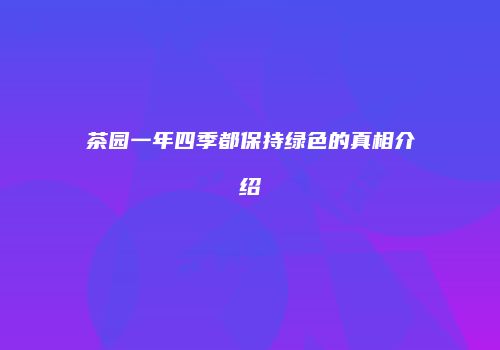 茶园一年四季都保持绿色的真相介绍