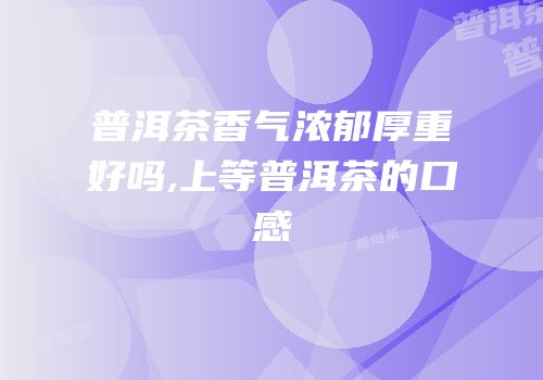 普洱茶香气浓郁厚重好吗,上等普洱茶的口感